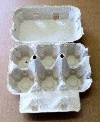 boîtes de 2 x 6 oeufs de poule grise paquet de 116 boîtes