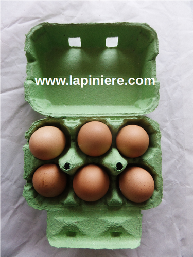 Boîte de 2 x 6 œufs poule verte paquet de 232 boites